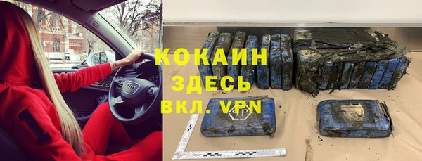 сатива Кодинск
