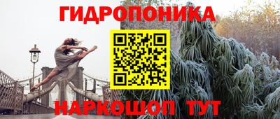 ПСИЛОЦИБИНОВЫЕ ГРИБЫ Бийск