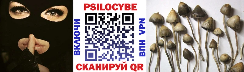 дарк нет клад  Владикавказ  Галлюциногенные грибы MAGIC MUSHROOMS 